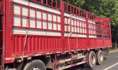 旭東PVC圍擋批發(fā)直供龍崗工地，2500米圍擋當(dāng)天閃電送達(dá)